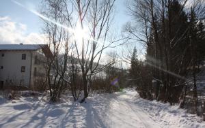 eine schneebedeckte Straße mit der Sonne, die durch die Bäume scheint in der Unterkunft Villa Malina in Oščadnica + 45 Fotos