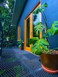 a blue house with a door and a plant at Jardines Secretos in Rivas