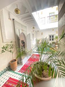 Fotografie z fotogalerie ubytování Riad magnolia privé v Marrákéši