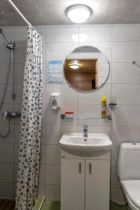 a bathroom with a sink and a mirror at Maple House - Sodyba Tarp Klevų in Utena