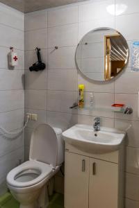 een badkamer met een toilet, een wastafel en een spiegel bij Maple House - Sodyba Tarp Klevų in Utena