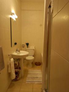 a bathroom with a white toilet and a sink at The Courtyard, Castle Dargan in Ballygawley