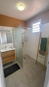 y baño con lavabo y ducha. en Appartement vue mer Chez Ti Louis - Grande Anse, en Les Anses-dʼArlet