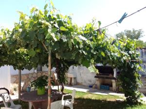 Un grappolo d'uva su un tavolo in un cortile di La Casa de la Parra a Villa Carlos Paz