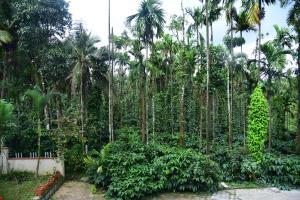 Mynd úr myndasafni af Mourya Homestay - 2BH, Estate, Balcony í Chikmagalūr