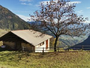 a small house with a tree on the side of a hill at B&B Butterfly in Bresimo