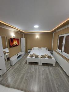 a large bedroom with a large bed and a tv at Stan na Dan Jovanovic in Valjevo