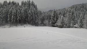 un campo coperto di neve con un mucchio di alberi di Pension Schwaighof a Oberau