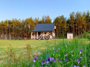 a house in a field with flowers in front of it at Prosportówek - Bronków - Domek nad Jeziorem w Otoczeniu Pięknych Lasów in Bronków