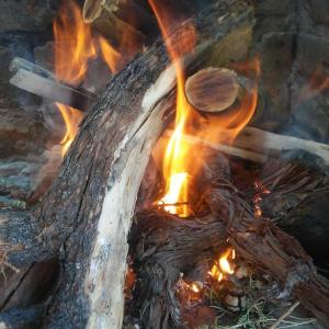 Gallery image of El Canadiense Hospedaje in San Rafael