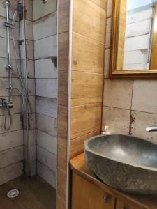 y baño con lavabo y ducha. en Guesthouse Theodorou en Elati Trikalon