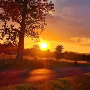 a sunset with a tree and a road at Moja Miłość. in Podgórzyn