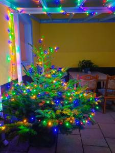 Un árbol de Navidad en una habitación con luces de Navidad en Ruyi holiday en Sopron