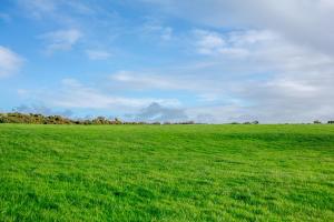 a field of green grass with a blue sky at Bwythyn-y-Wennol in Abersoch