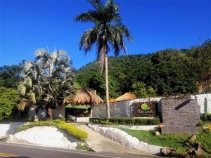 a palm tree in front of a house with a road at Villa Cata Hotel in El Zaino