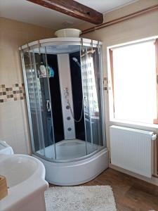 a shower in a bathroom with a tub and a sink at Family friendly house with a swimming pool Mihalic Selo, Karlovac - 20284 in Duga Resa