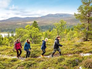 a group of children walking on a hill at Holiday home IDRE in Idre