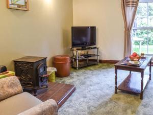 een woonkamer met een fornuis en een tv bij Anneth Lowen in Perranwell
