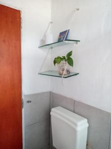 a bathroom with a toilet with shelves and a plant at Madrenatura in Mina Clavero