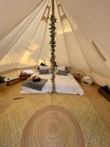 une tente avec un lit et un arbre. dans l'établissement Hostel Flakos, à Zihuatanejo