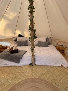 - un lit avec un arbre dans une tente dans l'établissement Hostel Flakos, à Zihuatanejo