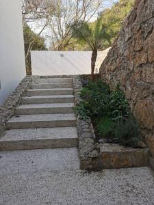 um conjunto de escadas com uma parede de pedra e uma árvore em Casa Aguila Gran Reserva em Ixtapan de la Sal