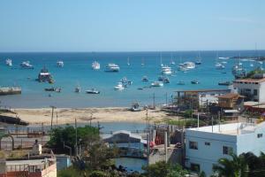 uma vista para um porto com barcos na água em Grand Hotel Paraiso Insular 1 em Puerto Baquerizo Moreno