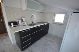 Kuchyň nebo kuchyňský kout v ubytování Apartment Boticki