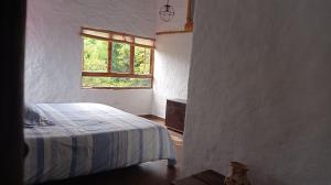 a bedroom with a bed and a window at Pinar del Río Eco Habitación con altillo cuadruple in San Agustín