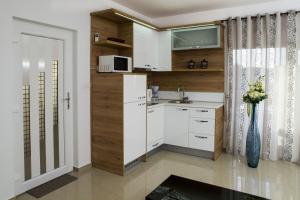 Kuchyň nebo kuchyňský kout v ubytování Apartments Vista