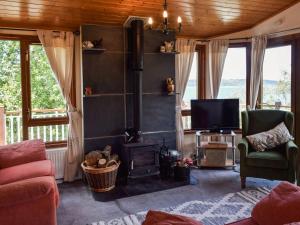 a living room with a fireplace and a tv at Teasel Lodge - Uk39647 in Lunga