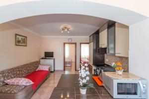 Kuchyň nebo kuchyňský kout v ubytování Apartments Hudic