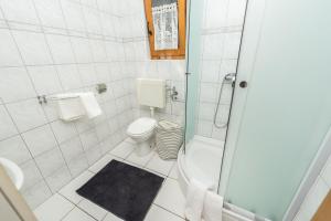 Koupelna v ubytování Apartment Druzinec