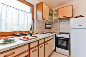 Kuchyň nebo kuchyňský kout v ubytování Apartment Druzinec