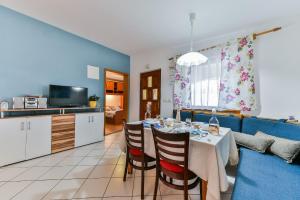 Kuchyň nebo kuchyňský kout v ubytování Apartment Druzinec