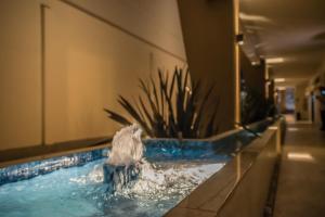 a pool of water with a plant in a building at Hotel Imperial Luxury in San Martín Texmelucan de Labastida