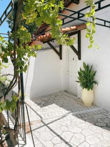 a courtyard of a house with a door and a plant at Villa Elpiniki in Troulos