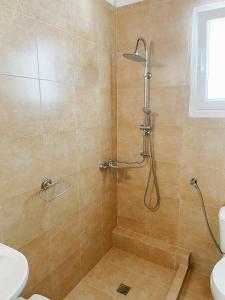 a bathroom with a shower with a toilet and a sink at Villa Elpiniki in Troulos