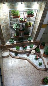 Fotografie z fotogalerie ubytování Hotel El Deportista v destinaci Medellín