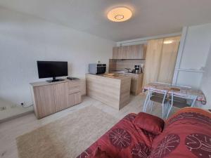 Η κουζίνα ή μικρή κουζίνα στο Charmant Studio Rénové 4 Pers, Balcon Sud, Proche Station - FR-1-393-156