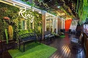 The Ring Residence في هات ياي: مبنى به جدار أخضر مع مقاعد أمامه