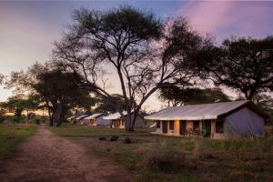a row of tents in a field with trees at Baobab Tented Camp in Kwa Kuchinia