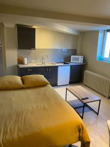 1 dormitorio con 1 cama grande y cocina en Cambrai:exceptionnel studio, en Cambrai