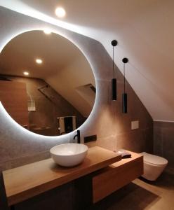 uma casa de banho com um lavatório e um espelho grande em LE CLOS DU MONTYS em Louveigné