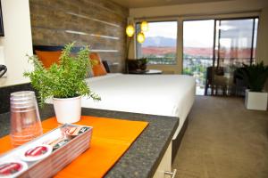 una camera d'albergo con letto e tavolo con vassoio di cibo di Inn On The Cliff a St. George