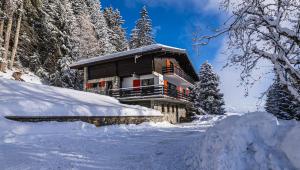 eine Blockhütte im Schnee mit schneebedeckten Bäumen in der Unterkunft Chalet Familial Les Girolles aux portes d'Anzère in Arbaz