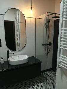 Koupelna v ubytování Apartament COSY CAVE