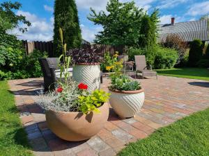 three large vases filled with plants on a brick patio at Saules Street Home in Kuldīga