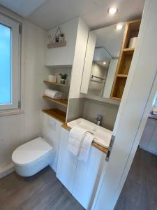 een kleine badkamer met een toilet en een wastafel bij Tiny House Ruhr im PIER9 Tiny House Hotel in Hamm
