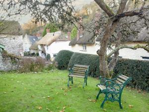 two park benches sitting in the grass next to a tree at Yew Tree Cottage in Branscombe